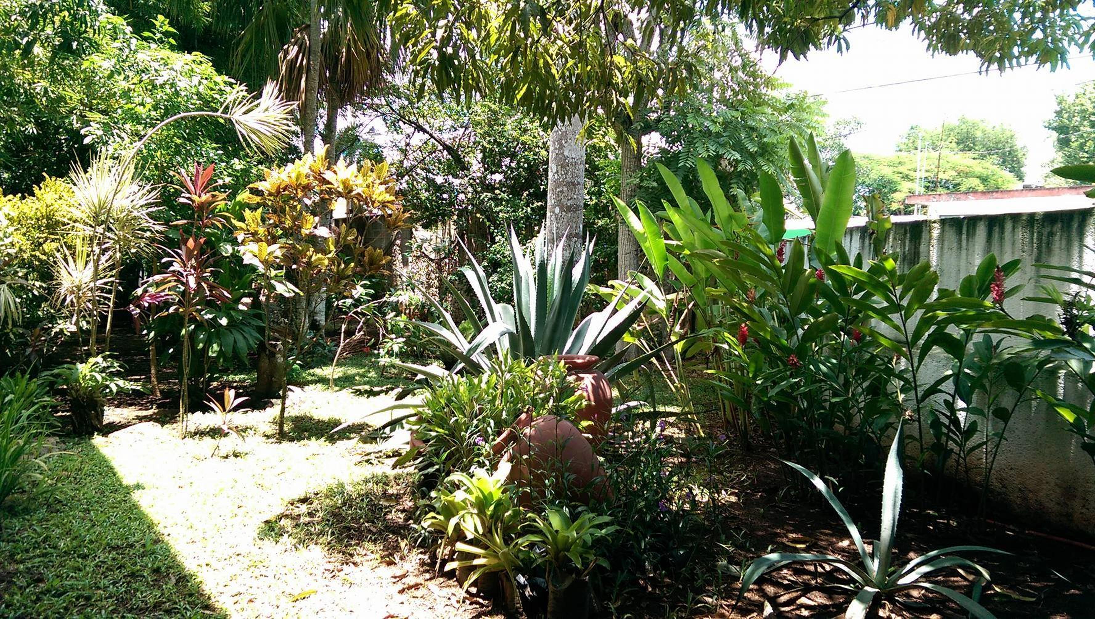 Ecotel Quinta Regia 바야돌리드 외부 사진