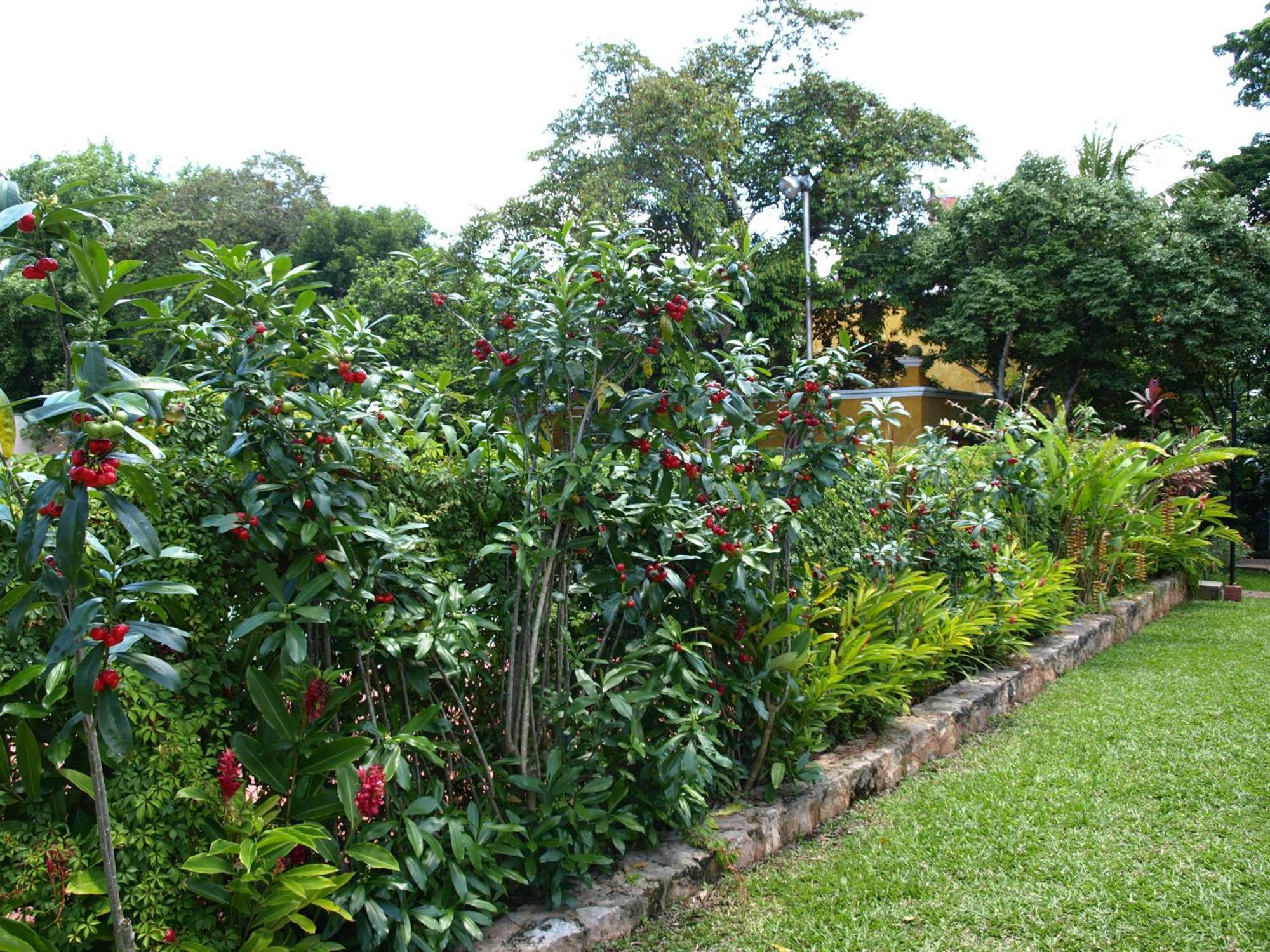 Ecotel Quinta Regia 바야돌리드 외부 사진