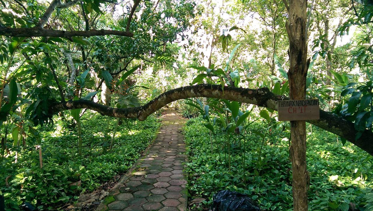 Ecotel Quinta Regia 바야돌리드 외부 사진